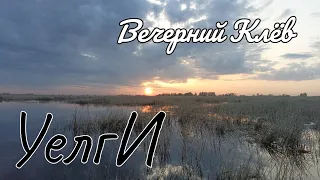 🚣 УЕЛГИ 🚣 Карасевичи Дают Жару.Браконьеры охренели!!!