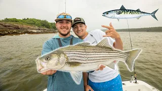 CAMP CLAW SERIES: Insane STRIPER fishing (lots of action)