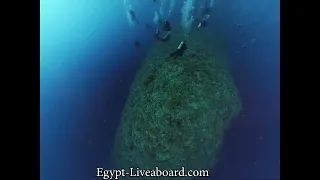 Egypt Liveaboard - Dive Sites - Red Sea Egypt