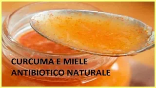 Curcuma e miele: un potente antibiotico naturale.Come prepararlo- Italy365