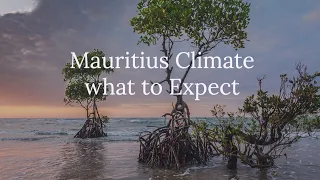 Mauritius Climate What to Expect