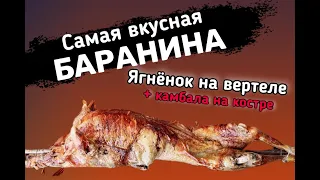 Рецепт баранины: готовим ягненка на вертеле