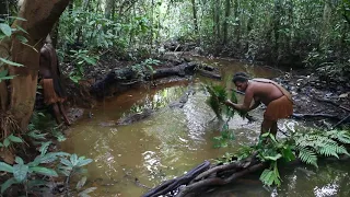 Papua. Korowai tribe. #29