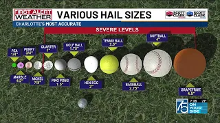 Various sizes of hail