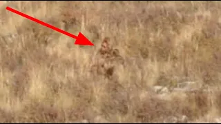 The TRUTH behind this video of bigfoot #shorts