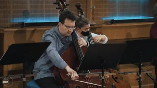 Mozart Ave Verum Corpus for double bass orchestra