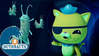 Octonauts - ✨ Les rémipèdes ⛰️ | Dessins animés pour enfants