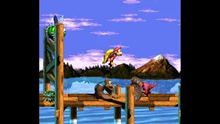 Ma Ryu's DKC 3 Hack