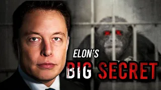 Elon Musk Killed Monkeys For This!!! | Brain Leak Ep. 45