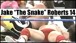 Jake "The Snake" Roberts vs. Tony Diamond