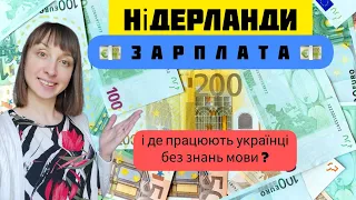 💶Зарплата❓️Де працюють українці без знань мови❓️Робота.Нідерланди. Сколько зарабатывают Нидерландах.