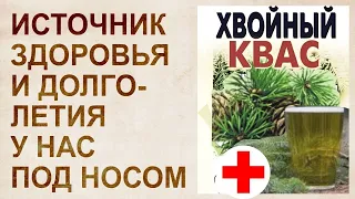 Хвойный квас на медной воде - сибирский рецепт здоровья и долголетия