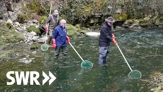 Leben am Neckar - Fischer, Flößer und Industrie-Pioniere  | SWR Geschichte & Entdeckungen