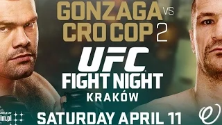 Cro Cop vs Gabriel Gonzaga UFC Fight Night