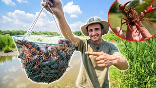 Pêcher et Manger des MILLIERS d'Écrevisses ! [Pêcher-Cuisiner-Manger]