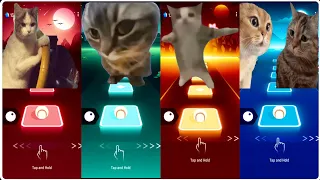 Chipi Chipi Chapa Chapa Cat vs Driving Cat vs Talking Cats vs Happy Cat - Tiles Hop EDM Rush