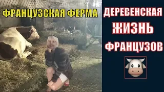 ФРАНЦУЗСКАЯ ДЕРЕВНЯ: У французской СВЕКРОВИ | Деревенская жизнь Французов| Французская ФЕРМА