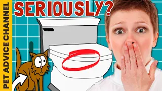 5 reasons not to toilet train your cat