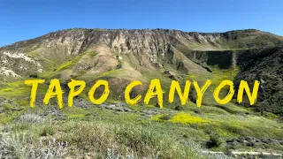 Tapo Canyon | Historic adobe ruins, Native American village site and ancient fossil shells