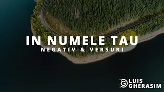 În Numele Tău || Negativ & Versuri (Revive feat. Ile Stancu Bereczki)