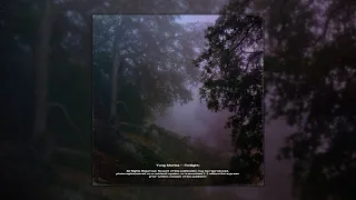 [FREE] LOVV66 + KAI ANGEL type beat - «Сумерки»