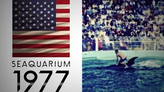 Year 1977 | MIAMI SEAQUARIUM