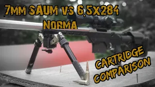 7mm SAUM vs 6.5x284 Norma Cartridge Comparison