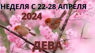 ДЕВА ♍️ ТАРОСКОП С 22-28 АПРЕЛЯ/ APRIL-2024 от Alisa Belial.