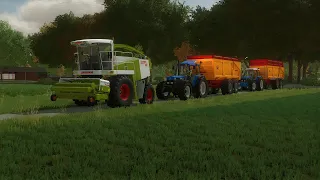 Grass silage | Laren Gelderland |