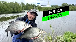 ЛОВЛЯ ЛЕЩА НА ФИДЕР / РЫБАЛКА НА МАЛОЙ РЕКЕ / FROS FISHING