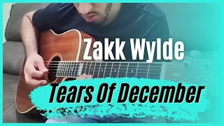 Zakk Wylde - Tears Of December (solo cover)