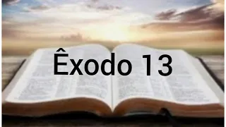 Êxodo 13 (Consagração dos primogênitos/ Deus guia o povo pelo caminho)