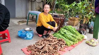 Harvest Ginger & Green Vegetables and bring them to the market to sell, My daily life | Ly Thi Tam