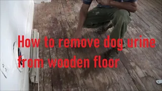 How to get rid of dog urine smell and stain from wood floor