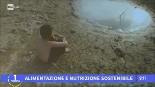 Quando il cibo è "buono": sostenibilità alimentare - Unomattina 06/12/2017