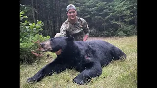 Maine Black Bear hunt: 4 bear night!