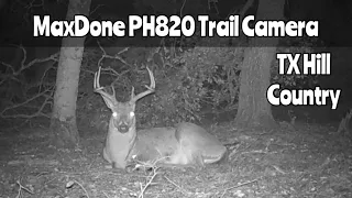 TX Hill Country Cam: MaxDone PH820 Trail Camera Nov. 17- Dec. 2, 2023