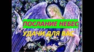 #Гадание на счастье  ПОСЛАНИЕ НАШИХ АНГЕЛОВ-ХРАНИТЕЛЕЙ И ПРЕДКОВ РОДА ДЛЯ НАС/ С 10 ПО 23 ИЮНЯ 2020