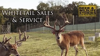 Missouri Big Bucks | Whitetail Sales & Services Part 1