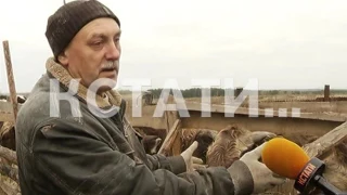 Убийство без преступления - энергетики пытаются уморить фермерское хозяйство