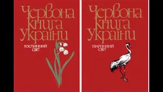 Червона книга України рослинний і тваринний світ.