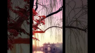 Seasons of the year in Chinese