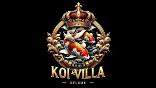 Vorstellungsrunde Koivilla-Deluxe 👑