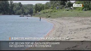 В Днестре много фекалий, купаться не стоит