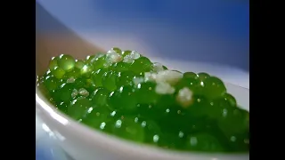 cucumber pearls! how to make cucumber pearls, by chef Lokesh verma