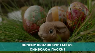 Почему кролик считается символом Пасхи?