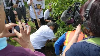 Something Different (Yo Yo Ma Planting Trees in My School's Neighborhood!)