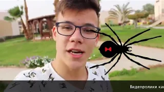 ПРАНК “ОГРОМНЫЙ ПАУК“ над ДЕВУШКОЙ ! BIG SPIDER PRANK!