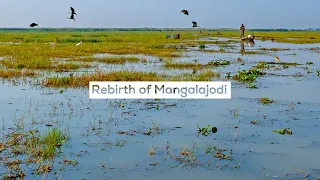 How the Poachers of Mangalajodi Turned Into the Wetland’s Fiercest Guardians