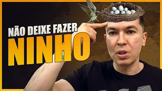 Não deixe o pássaro fazer “ninho” na sua cabeça | Pr. Lucinho